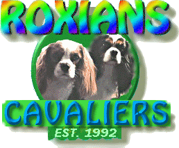Roxians Cavvalier King Charles Spaniels - Kelsey and Jazzy