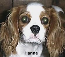 Hanna Anna